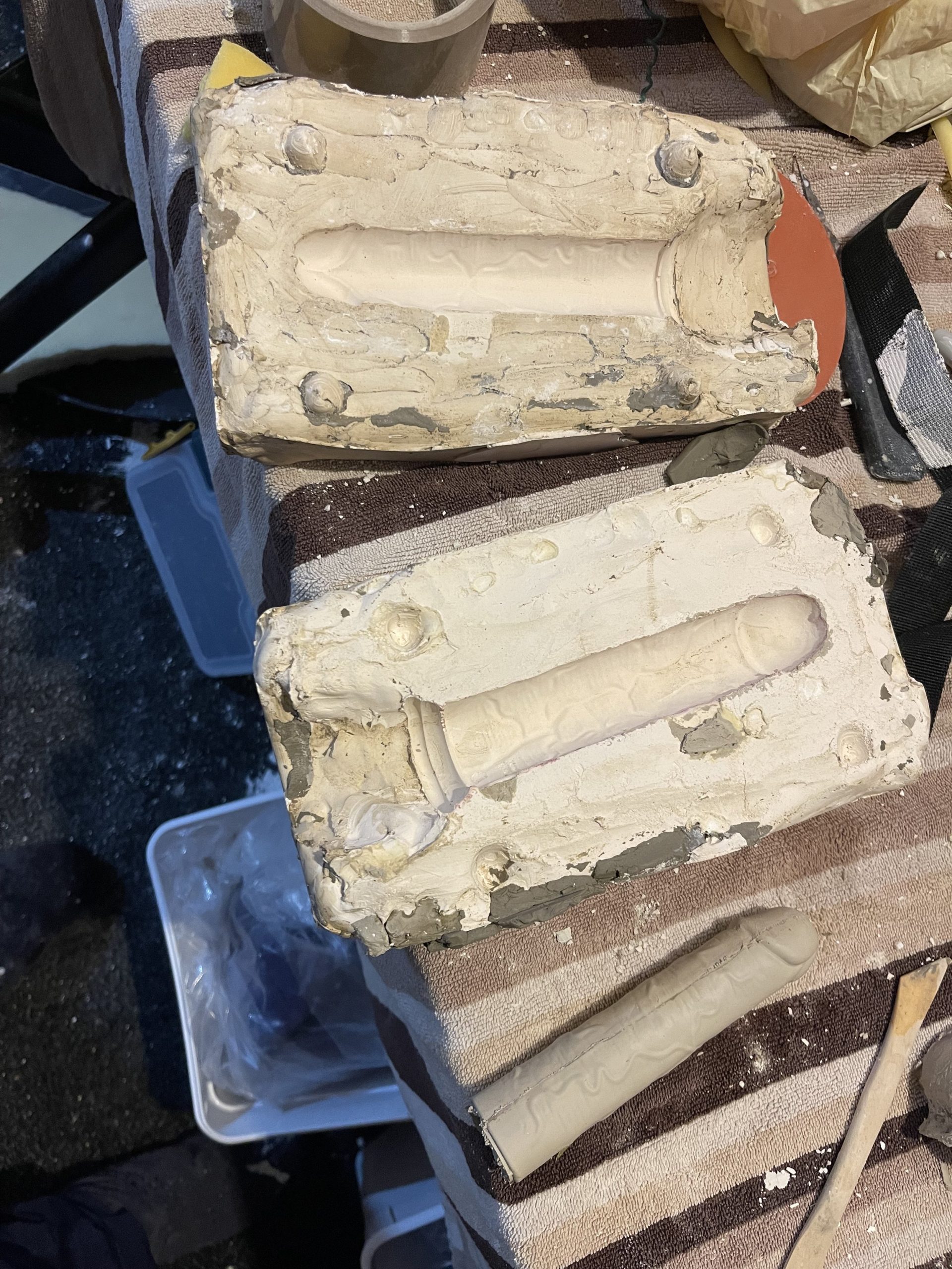  Plaster mould of the penis 