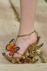  Butterfly shoe 