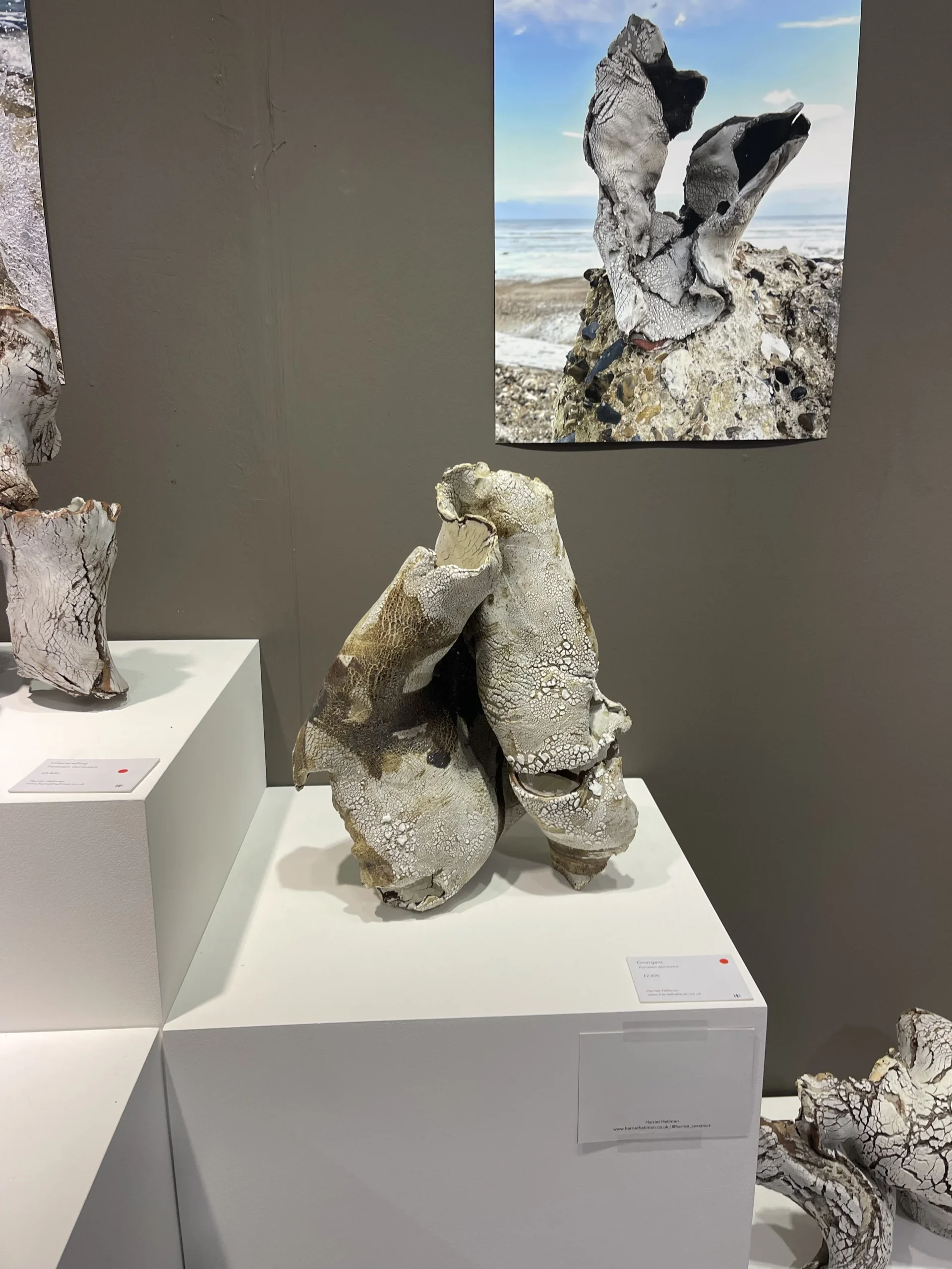  Harriett Helman’s work resonates with me as she is influenced by the sea and costal erosion. 